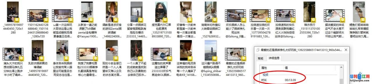 推特女奴yaoyao11养成记专注专业捆绑K9露出反差性玩物【0.69G】