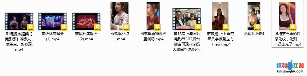 明星艺人走光露点合集二9V【500M】