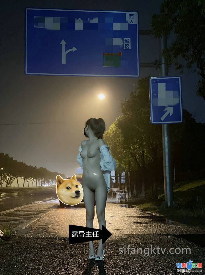 【LDZR】人前大胆全裸超市街道露出，裸体开门拿外卖，高速路，景区，海滩，精彩绝伦【0.25G】